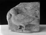 Fragment of a Roman relief depicting a dove, foliage and part of a landscape