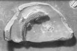 Fragment of a small <i>patera</i> (dish)