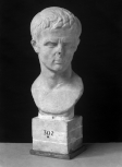 Roman bust of a man, perhaps the elderly Emperor Augustus