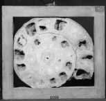 A framed ammonite fossil specimen