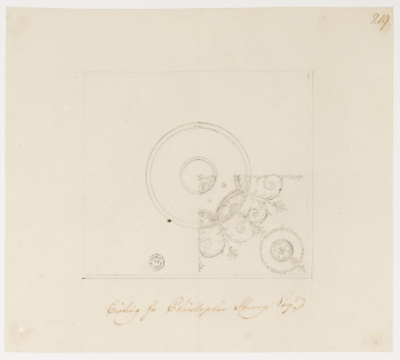 image SM Adam Volume 11/219