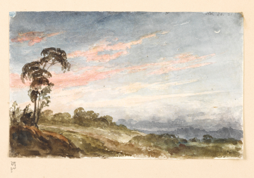 image Image 51 for Vol 163