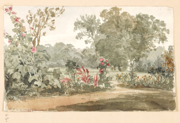 image Image 60 for Vol 163