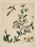 image Image 2 for 58/11/61