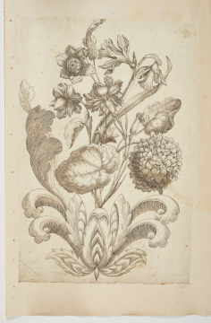 image Image 1 for 58/11/16