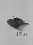 An owl: a fragment from a statuette or ornament