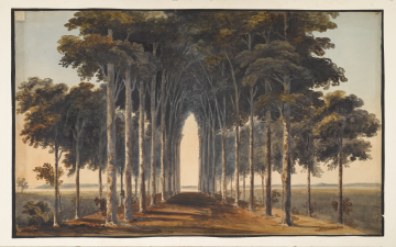 image Image 2 for 86/1/4