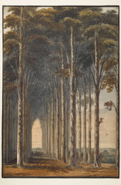 image Image 1 for 86/1/3