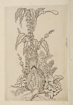 image Image 1 for 58/11/27