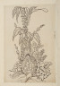 image Image 1 for 58/11/27