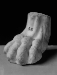Roman furniture foot-base: the claw of a griffin(?) 