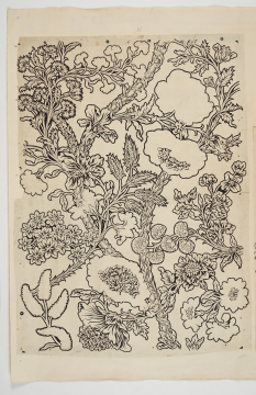 image Image 1 for 58/11/36
