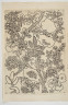 image Image 1 for 58/11/36