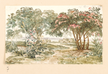 image Image 23 for Vol 163