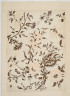 image Image 1 for 58/11/60
