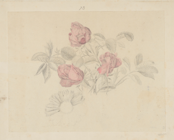 image Image 2 for 58/11/73