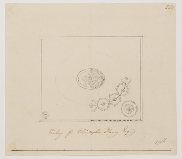 image SM Adam Volume 11/220