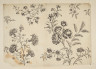 image Image 2 for 58/11/44