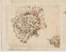 image Image 1 for 58/11/8