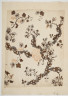 image Image 2 for 58/11/62