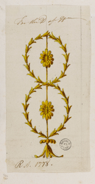 image SM Adam Volume 52/83