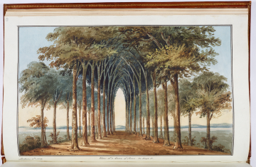 image Image 11 for Vol 156