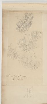 image Image 2 for 58/11/3