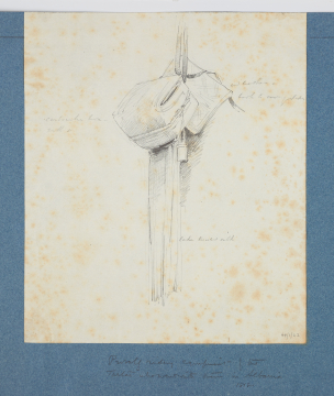 image Image 2 for 44/1/42