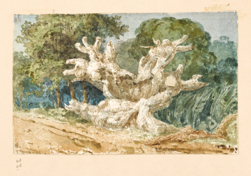 image Image 33 for Vol 163