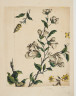 image Image 1 for 58/11/61