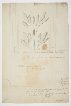 image Image 3 for 78/2/43