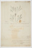 image Image 3 for 78/2/43
