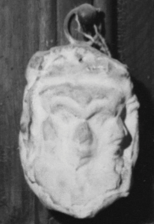 image MP67