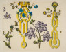 image Image 1 for 58/11/89