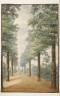 image Image 2 for 86/1/6