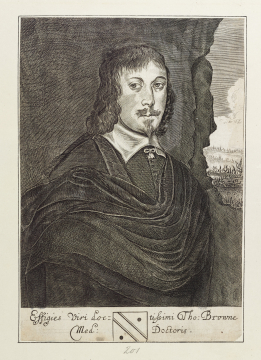 image Image 186 for Vol 147