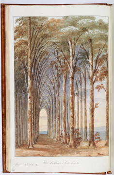 image Image 12 for Vol 156