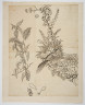 image Image 1 for 58/11/35