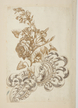 image Image 2 for 58/11/23