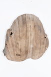 Fragment of carved foliage 