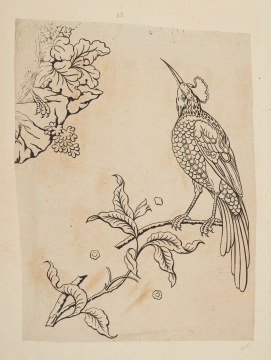 image Image 2 for 58/11/33