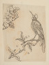 image Image 2 for 58/11/33