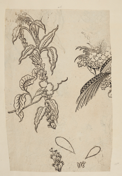 image Image 1 for 58/11/46
