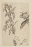 image Image 1 for 58/11/46