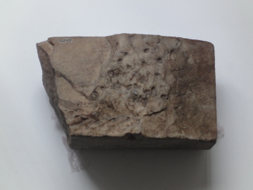 image Image 3 for M649