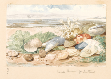 image Image 25 for Vol 163