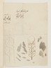 image Image 2 for 42/3/3