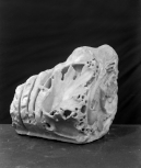 Fragment of a console or a modiglion from a giant entablature