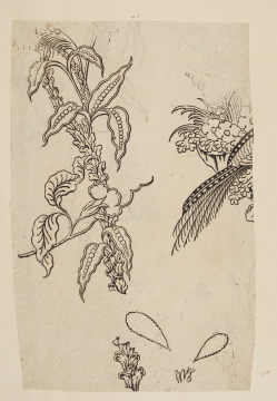 image Image 2 for 58/11/46
