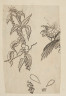 image Image 2 for 58/11/46